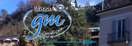 logo_gm.jpg